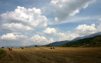 世界短道速滑科研训练营第23期优秀课堂回放上线，2020年世界短道速滑比赛视频